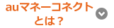 auマネーコネクトとは?