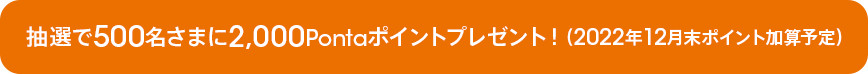 抽選で500名さまに2,000Pontaポイントプレゼント！
（2022年12月末ポイント加算予定）