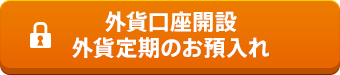 外貨口座開設 外貨定期のお預入れ