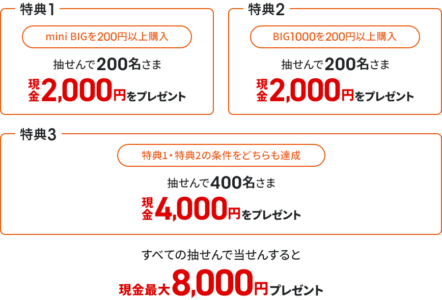 特典内容