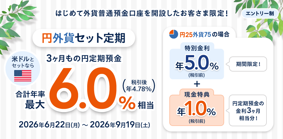 はじめて外貨普通預金口座を開設したお客さま限定!円外貨セット定期