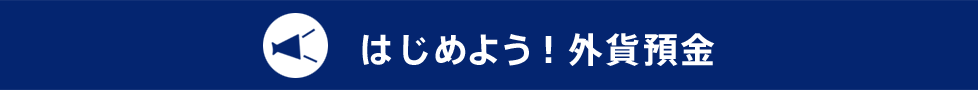 はじめよう!外貨定期定期預金