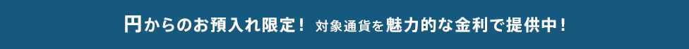 円からのお預入れ限定！対象通貨を魅力的な金利で提供中！