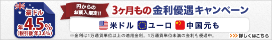 <円→外貨定期限定!>3ヶ月もの外貨定期預金 金利アップキャンペーン 詳しくはこちら <円→外貨定期限定!>3ヶ月もの外貨定期預金 金利アップキャンペーン 詳しくはこちら