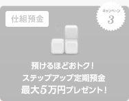 キャンペーン3 仕組預金 預けるほどおトク!ステップアップ定期預金 最大5万円プレゼント! キャンペーン3 仕組預金 預けるほどおトク!ステップアップ定期預金 最大5万円プレゼント!