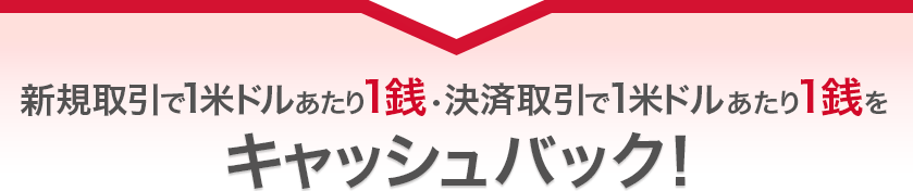 新規取引で1米ドルあたり1銭・決済取引で1米ドルあたり1銭をキャッシュバック! 新規取引で1米ドルあたり1銭・決済取引で1米ドルあたり1銭をキャッシュバック!
