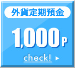 外貨定期預金 1,000P 外貨定期預金 1,000P