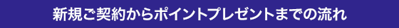 新規ご契約からポイントプレゼントまでの流れ
