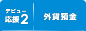 <デビュー応援2>外貨預金 <デビュー応援2>外貨預金