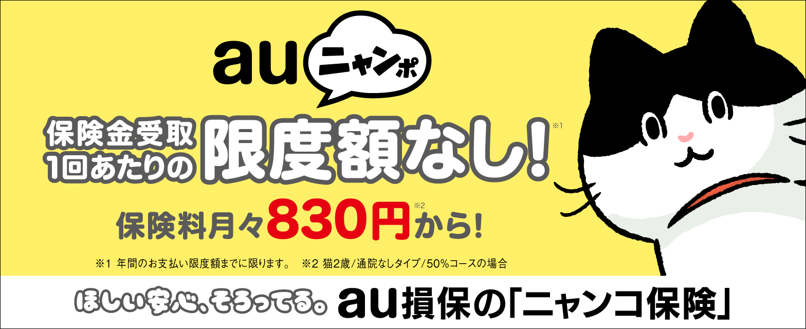 au損保の「ニャンコ保険」